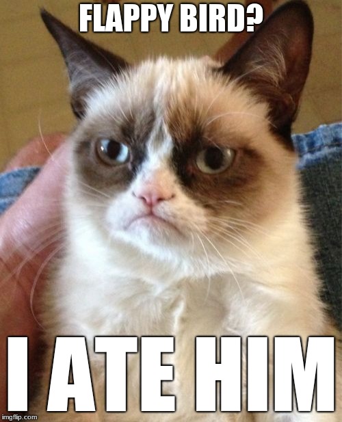 Grumpy Cat | FLAPPY BIRD? I ATE HIM | image tagged in memes,grumpy cat | made w/ Imgflip meme maker