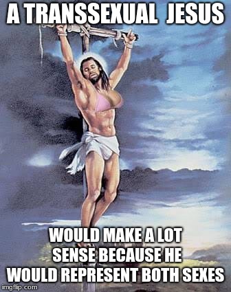 Transsexual Jesus | A TRANSSEXUAL  JESUS; WOULD MAKE A LOT SENSE BECAUSE HE WOULD REPRESENT BOTH SEXES | image tagged in jesus,transsexual | made w/ Imgflip meme maker