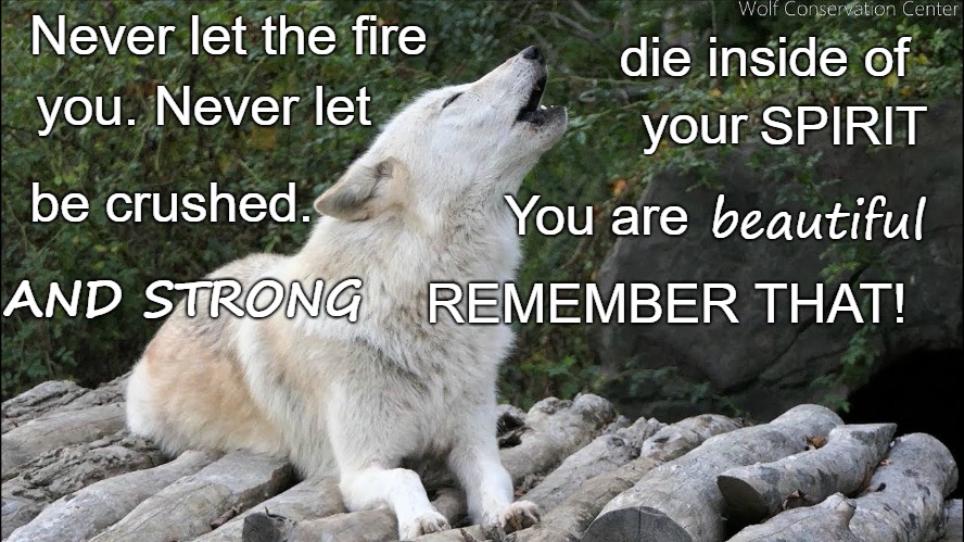 Wolf Wisdom | Never let the fire; die inside of; you. Never let; your; SPIRIT; be crushed. beautiful; You are; AND STRONG; REMEMBER THAT! | image tagged in animals,wolf,wolves,native ameriican,native americans,indians | made w/ Imgflip meme maker