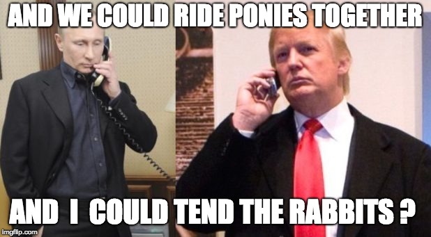 Trump Putin phone call | AND WE COULD RIDE PONIES TOGETHER; AND  I  COULD TEND THE RABBITS ? | image tagged in trump putin phone call | made w/ Imgflip meme maker
