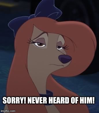 Sorry! Never heard of him! | SORRY! NEVER HEARD OF HIM! | image tagged in dixie,memes,the fox and the hound 2,funny,saluki,dog | made w/ Imgflip meme maker