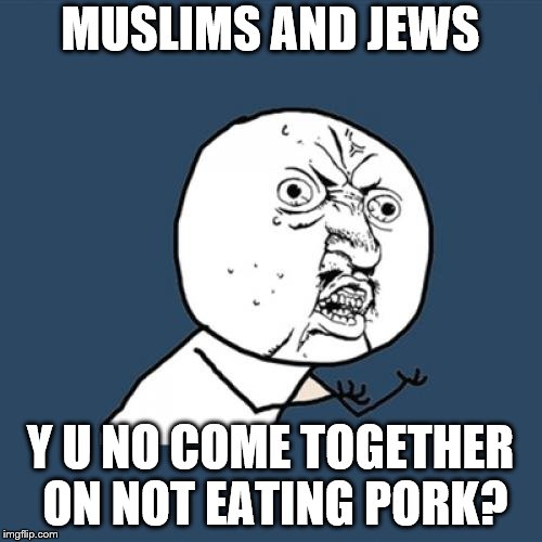 Y U No Meme | MUSLIMS AND JEWS Y U NO COME TOGETHER ON NOT EATING PORK? | image tagged in memes,y u no | made w/ Imgflip meme maker