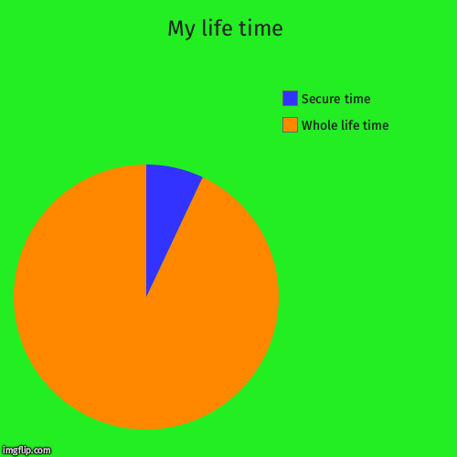 My life time | Whole life time, Secure time | image tagged in funny,pie charts | made w/ Imgflip chart maker