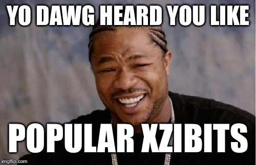 Yo Dawg Heard You Meme | YO DAWG HEARD YOU LIKE POPULAR XZIBITS | image tagged in memes,yo dawg heard you | made w/ Imgflip meme maker