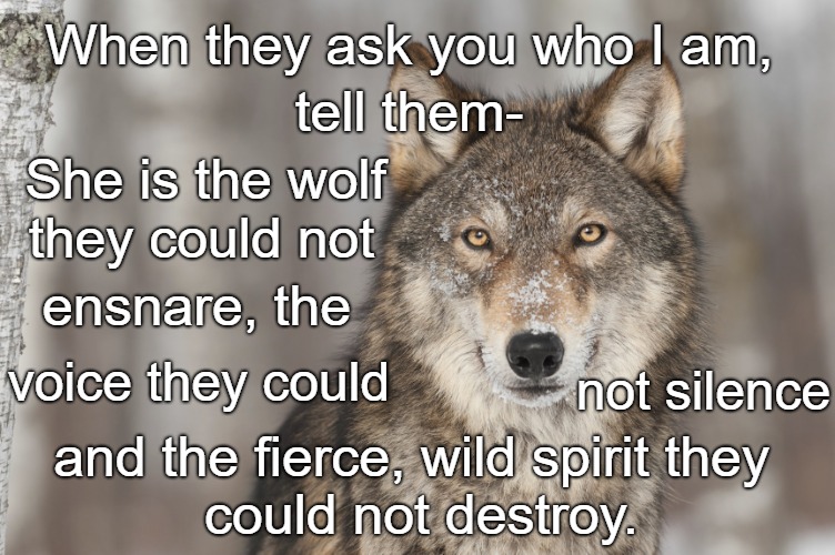 Wolf Wisdom | When they ask you who I am, tell them-; She is the wolf; they could not; ensnare, the; voice they could; not silence; and the fierce, wild spirit they; could not destroy. | image tagged in animals,wolf,wolves,indians,native american,native americans | made w/ Imgflip meme maker
