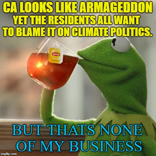 But That's None Of My Business | CA LOOKS LIKE ARMAGEDDON; YET THE RESIDENTS ALL WANT TO BLAME IT ON CLIMATE POLITICS. BUT THATS NONE OF MY BUSINESS | image tagged in memes,but thats none of my business,kermit the frog,wildfires,climate change | made w/ Imgflip meme maker