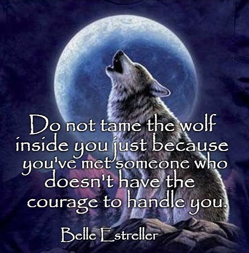 Wisdom From The Wolf | Do not tame the wolf; inside you just because; you've met someone who; doesn't have the; courage to handle you. Belle Estreller | image tagged in animals,wolf,wolves,indians,native amerixan,native americans | made w/ Imgflip meme maker