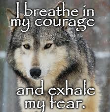 Courage of a Wolf | I breathe in; my courage; and exhale; my fear. | image tagged in animals,wolf,wolves,indians,native american,native americans | made w/ Imgflip meme maker