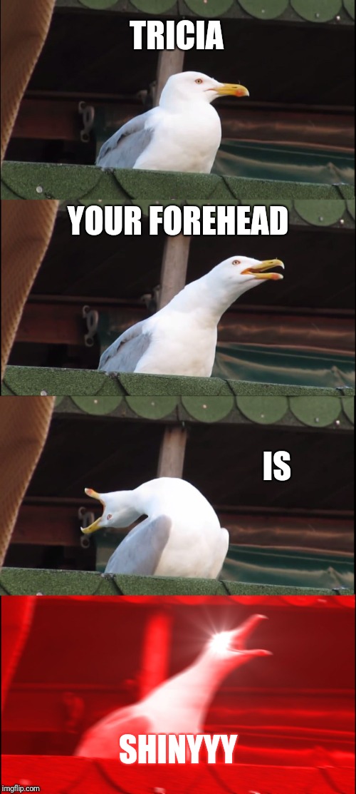 Inhaling Seagull | TRICIA; YOUR FOREHEAD; IS; SHINYYY | image tagged in memes,inhaling seagull | made w/ Imgflip meme maker