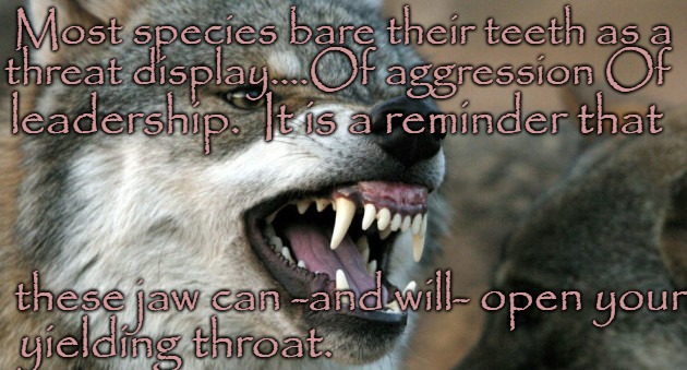 Savage Wolf | Most species bare their teeth as a; threat display....Of aggression Of; leadership.  It is a reminder that; these jaw can -and will- open your; yielding throat. | image tagged in animals,animal,wolf,wolves,native american,native americans | made w/ Imgflip meme maker