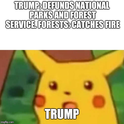 Surprised Pikachu | TRUMP: DEFUNDS NATIONAL PARKS AND FOREST SERVICE.
FORESTS: CATCHES FIRE; TRUMP | image tagged in memes,surprised pikachu,AdviceAnimals | made w/ Imgflip meme maker