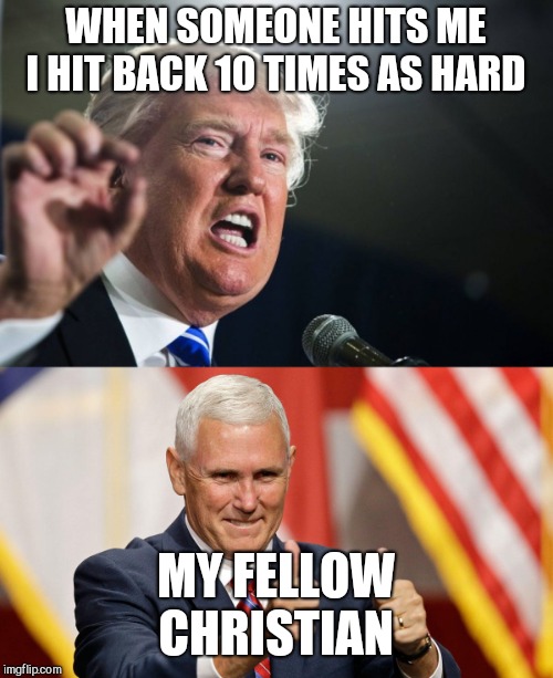With those tiny hands?  |  WHEN SOMEONE HITS ME I HIT BACK 10 TIMES AS HARD; MY FELLOW CHRISTIAN | image tagged in donald trump,mike pence,gop,evangelicals | made w/ Imgflip meme maker