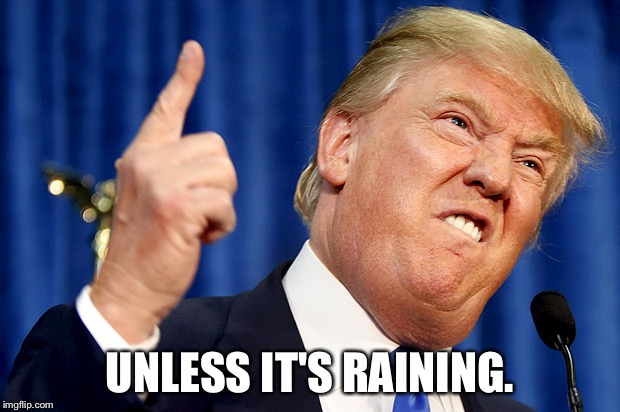 Donald Trump | UNLESS IT'S RAINING. | image tagged in donald trump | made w/ Imgflip meme maker