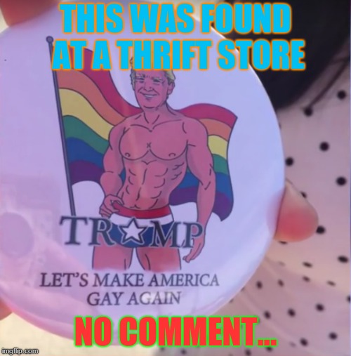Make America Gay/Great Again! | THIS WAS FOUND AT A THRIFT STORE; NO COMMENT... | image tagged in memes,funny,politics,gay,werid finds | made w/ Imgflip meme maker