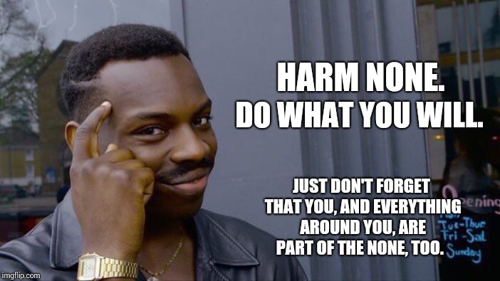 Roll Safe Think About It Meme | HARM NONE. DO WHAT YOU WILL. JUST DON'T FORGET THAT YOU, AND EVERYTHING AROUND YOU, ARE PART OF THE NONE, TOO. | image tagged in memes,roll safe think about it | made w/ Imgflip meme maker