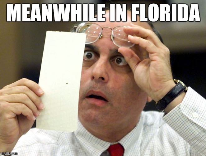 Hanging Chad | MEANWHILE IN FLORIDA | image tagged in hanging chad | made w/ Imgflip meme maker