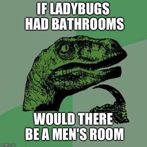 Manbugs? | IF LADYBUGS HAD BATHROOMS; WOULD THERE BE A MEN'S ROOM | image tagged in memes,philosoraptor | made w/ Imgflip meme maker