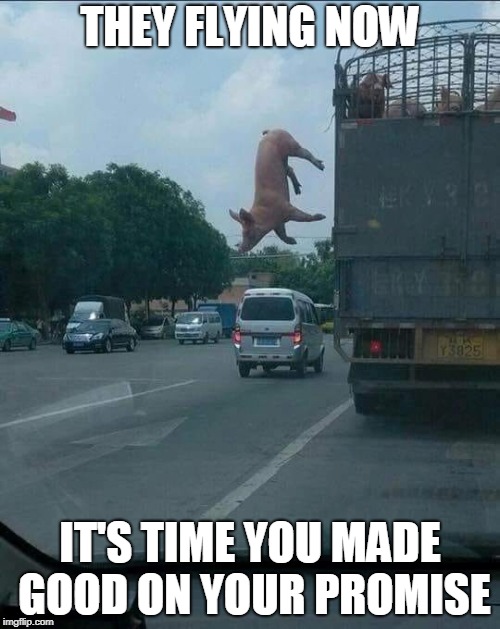 Woooooooooo, Pig! Sooie! | THEY FLYING NOW; IT'S TIME YOU MADE GOOD ON YOUR PROMISE | image tagged in memes,flying pigs,pigs,pigs fly,pig,promises | made w/ Imgflip meme maker