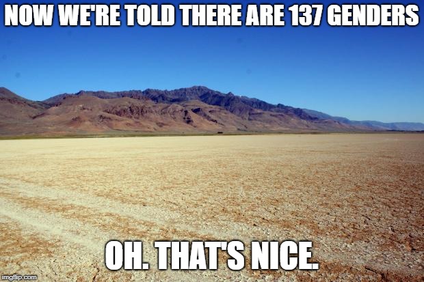 Desert Large dry | NOW WE'RE TOLD THERE ARE 137 GENDERS; OH. THAT'S NICE. | image tagged in desert large dry | made w/ Imgflip meme maker