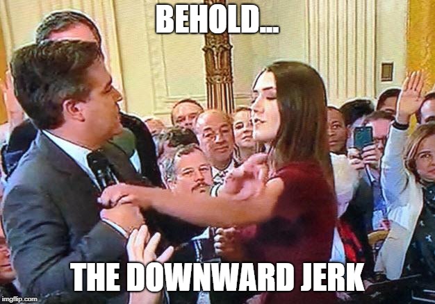 "I never touched that woman." Sound familiar? | BEHOLD... THE DOWNWARD JERK | image tagged in jim acosta the accoster,acosta | made w/ Imgflip meme maker
