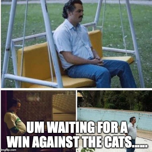 Narcos Bored Meme | UM WAITING FOR A WIN AGAINST THE CATS...... | image tagged in narcos bored meme | made w/ Imgflip meme maker