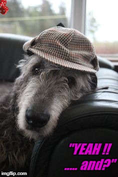 "YEAH !! ..... and?" | image tagged in wolfhound | made w/ Imgflip meme maker