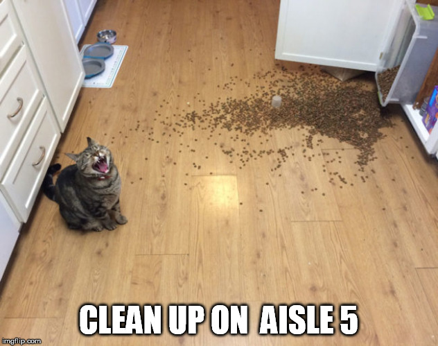 The Dog Did It! | CLEAN UP ON  AISLE 5 | image tagged in cat memes,mischief,spilled,food,meme | made w/ Imgflip meme maker