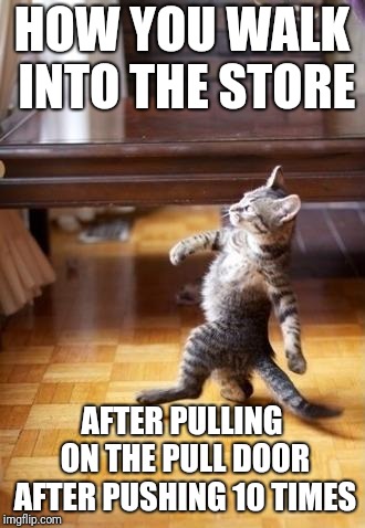 Cool Cat Stroll | HOW YOU WALK INTO THE STORE; AFTER PULLING ON THE PULL DOOR AFTER PUSHING 10 TIMES | image tagged in memes,cool cat stroll | made w/ Imgflip meme maker