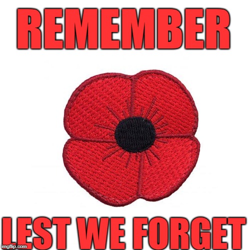Remember The Heroes On November 11 | REMEMBER; LEST WE FORGET | image tagged in war,fallen soldiers,freedom fighters,respect | made w/ Imgflip meme maker