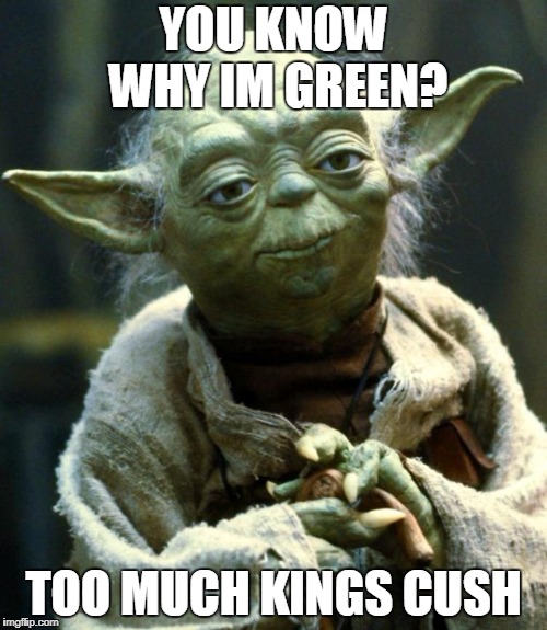 Star Wars Yoda | YOU KNOW WHY IM GREEN? TOO MUCH KINGS CUSH | image tagged in memes,star wars yoda | made w/ Imgflip meme maker