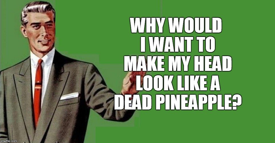 WHY WOULD I WANT TO MAKE MY HEAD LOOK LIKE A DEAD PINEAPPLE? | made w/ Imgflip meme maker