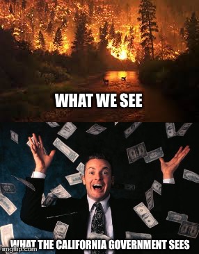 The more it burns, the more money they get |  WHAT WE SEE; WHAT THE CALIFORNIA GOVERNMENT SEES | image tagged in politics,california,wildfires | made w/ Imgflip meme maker