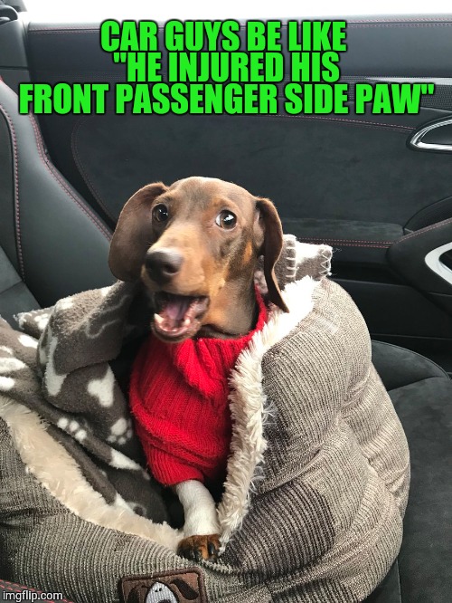 Car guys | CAR GUYS BE LIKE "HE INJURED HIS FRONT PASSENGER SIDE PAW" | image tagged in car | made w/ Imgflip meme maker
