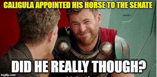 Thor is he though | CALIGULA APPOINTED HIS HORSE TO THE SENATE; DID HE REALLY THOUGH? | image tagged in thor is he though | made w/ Imgflip meme maker
