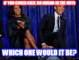 Please leave your answer in the comment section | IF YOU COULD KICK  AN OBAMA IN THE NUTS; WHICH ONE WOULD IT BE? | image tagged in obama,michelle obama,maga,nuts | made w/ Imgflip meme maker