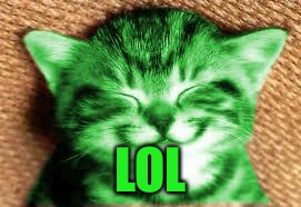 happy RayCat | LOL | image tagged in happy raycat | made w/ Imgflip meme maker