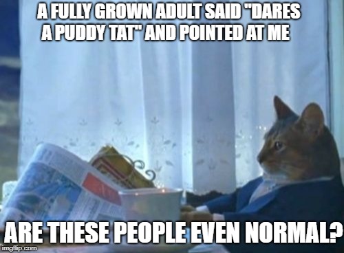 I Should Buy A Boat Cat | A FULLY GROWN ADULT SAID "DARES A PUDDY TAT" AND POINTED AT ME; ARE THESE PEOPLE EVEN NORMAL? | image tagged in memes,i should buy a boat cat | made w/ Imgflip meme maker