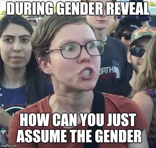 Triggered feminist | DURING GENDER REVEAL; HOW CAN YOU JUST ASSUME THE GENDER | image tagged in triggered feminist | made w/ Imgflip meme maker