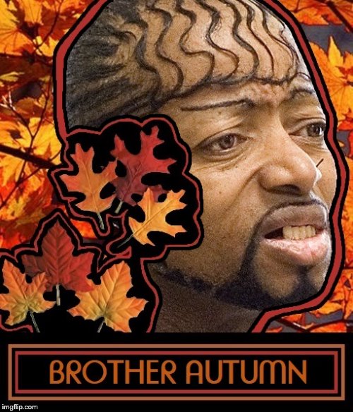 Brother Autumn Leaves | image tagged in pimp | made w/ Imgflip meme maker