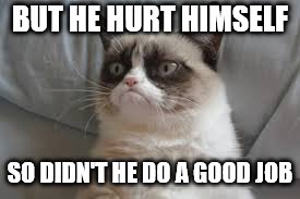Grumpy cat | BUT HE HURT HIMSELF SO DIDN'T HE DO A GOOD JOB | image tagged in grumpy cat | made w/ Imgflip meme maker