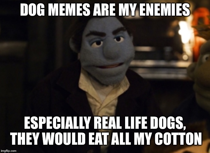 DOG MEMES ARE MY ENEMIES ESPECIALLY REAL LIFE DOGS, THEY WOULD EAT ALL MY COTTON | made w/ Imgflip meme maker