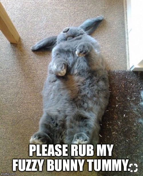 PLEASE RUB MY FUZZY BUNNY TUMMY. | made w/ Imgflip meme maker