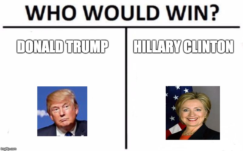 Who Would Win? | DONALD TRUMP; HILLARY CLINTON | image tagged in memes,who would win | made w/ Imgflip meme maker