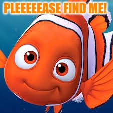 PLEEEEEASE FIND ME! | made w/ Imgflip meme maker