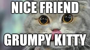 NICE FRIEND GRUMPY KITTY | made w/ Imgflip meme maker