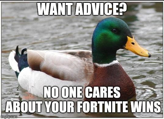 Actual Advice Mallard | WANT ADVICE? NO ONE CARES ABOUT YOUR FORTNITE WINS | image tagged in memes,actual advice mallard | made w/ Imgflip meme maker