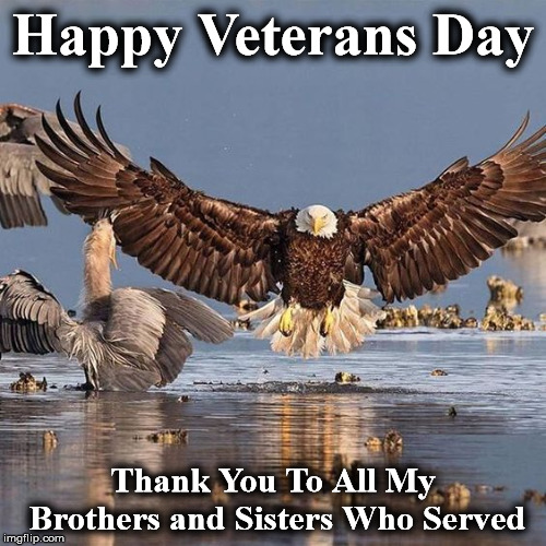 Happy Veterans Day; Thank You To All My Brothers and Sisters Who Served | image tagged in v | made w/ Imgflip meme maker