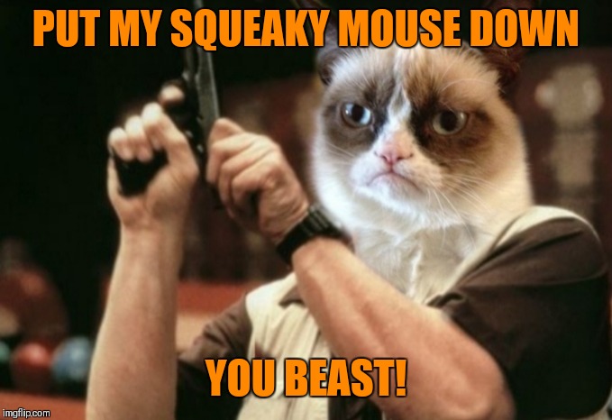 Grumpy  | PUT MY SQUEAKY MOUSE DOWN; YOU BEAST! | image tagged in grumpy cat,memes,am i the only one around here | made w/ Imgflip meme maker