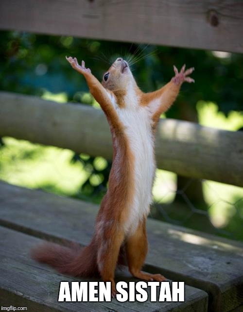 amen squirrel | AMEN SISTAH | image tagged in amen squirrel | made w/ Imgflip meme maker