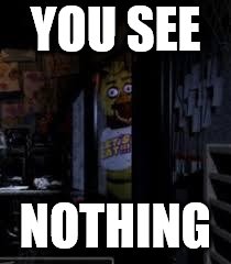 Chica Looking In Window FNAF | YOU SEE; NOTHING | image tagged in chica looking in window fnaf | made w/ Imgflip meme maker